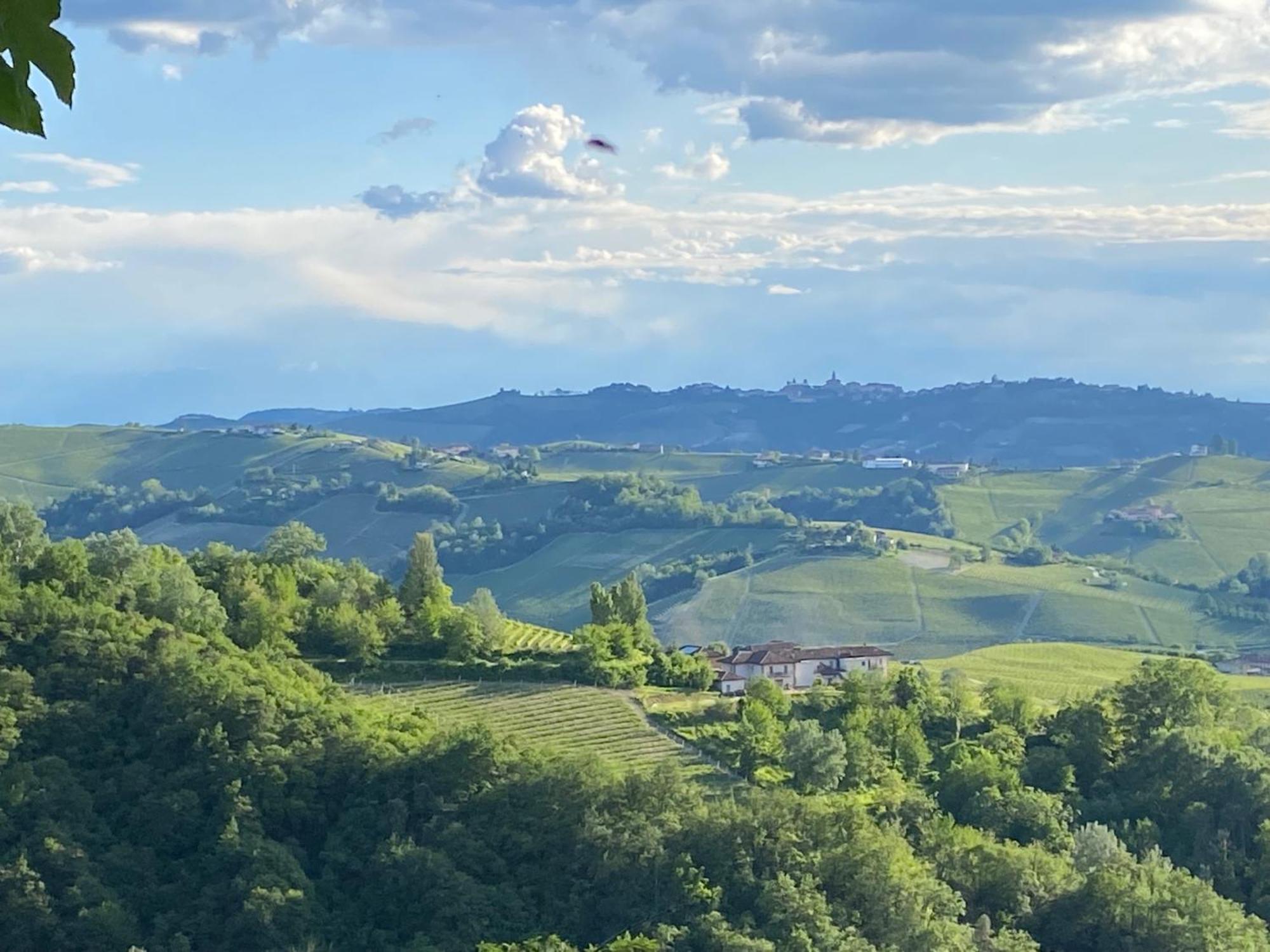 Viasavona46 Nel Cuore Delle Langhe Treiso Zewnętrze zdjęcie