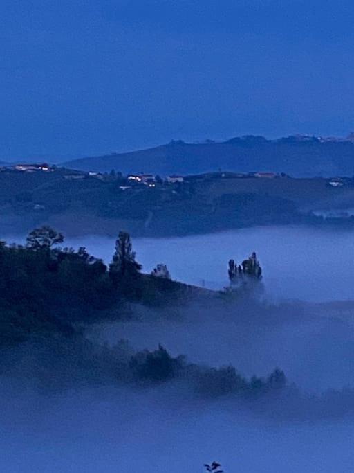 Viasavona46 Nel Cuore Delle Langhe Treiso Zewnętrze zdjęcie